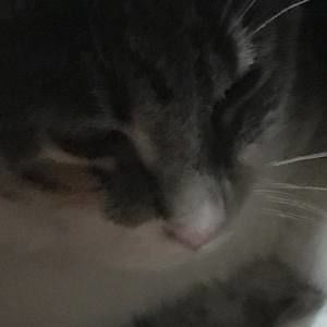 Meet your Posher, Faith